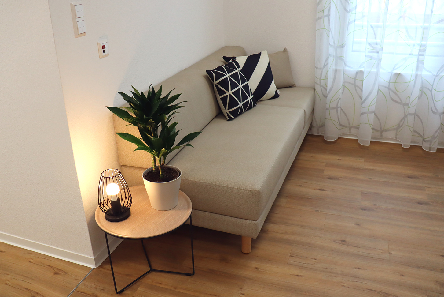 Modernes Wohnzimmer mit Sofa und Pflanze