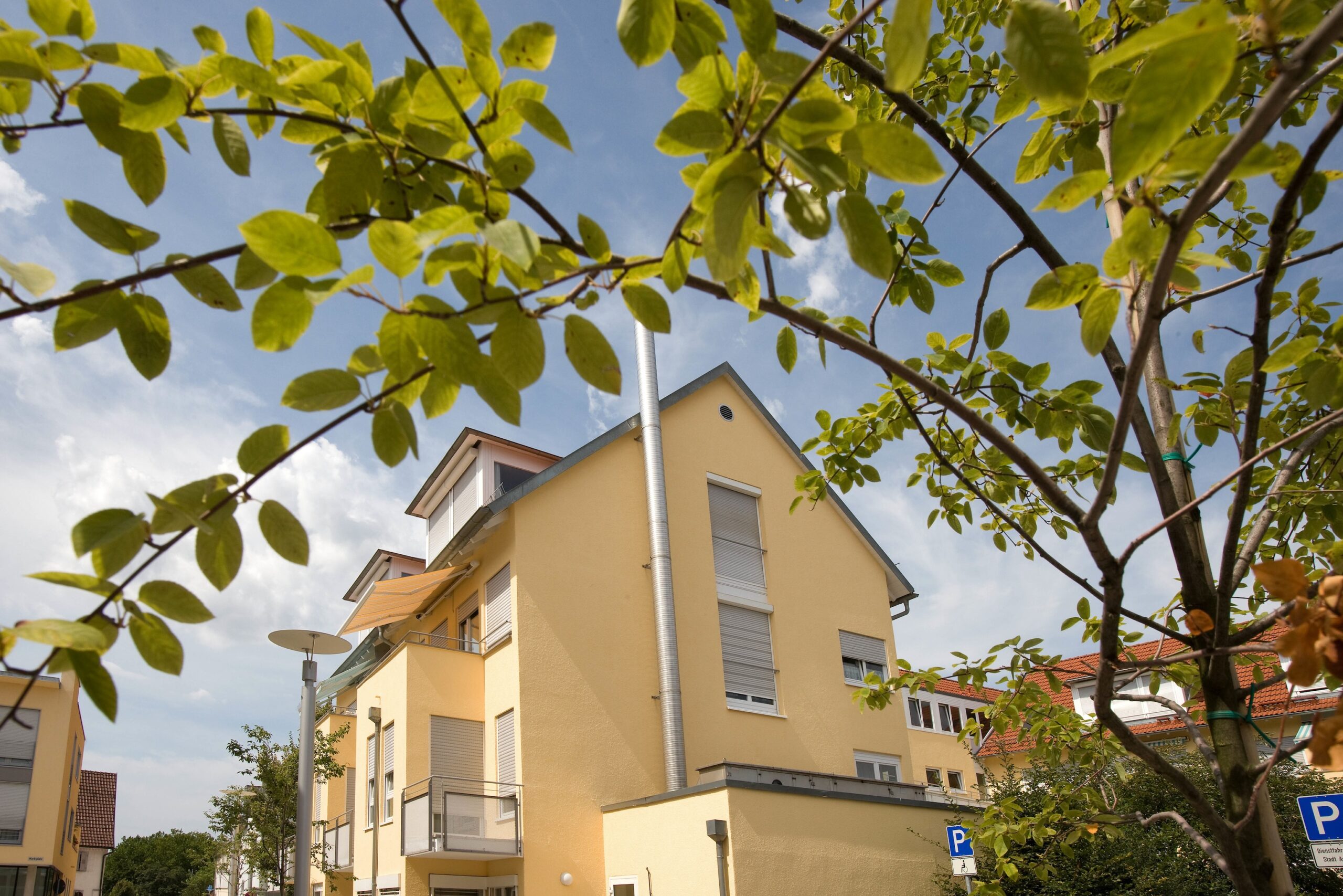 Gelbes Haus hinter grünem Baum im Sonnenschein.